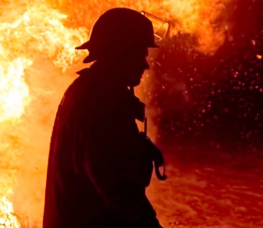 Flammenmeer in Le Rove: 100 Hektar Wald zerstört, 150 Menschen evakuiert Illustration_Waldbrand_Feuer
