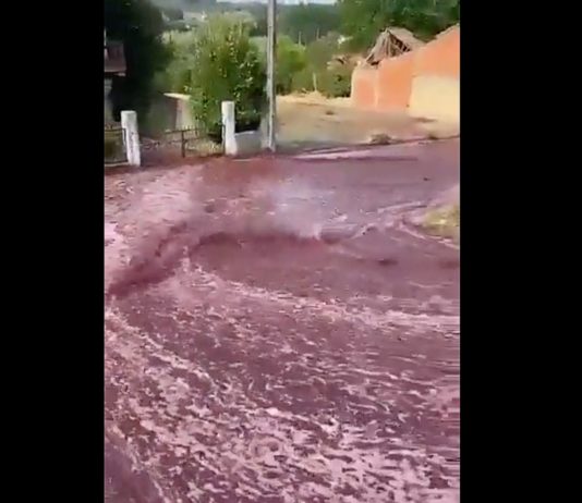 VIDEO: Ein Dorf in Portugal wird überflutet – von Rotwein Rotweinflut_Portugal
