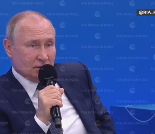 Wladimir Putin: „Ich stimme weitgehend mit Nicolas Sarkozy überein“ Wladimir_Putin_Screen