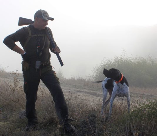 Frankreich: Jagdsaison beginnt in 43 Departements Jäger_mit_Hund