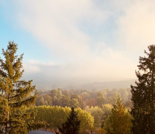 Im Wald bei Vittel drohen riesige wilde Müllkippen von Nestlé das Grundwasser zu verschmutzen Vittel