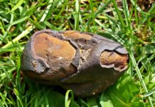 Meteorit schlägt im Garten einer Bewohnerin des Departements Cher ein small-meteorite-1396383_1280