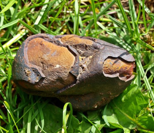 Meteorit schlägt im Garten einer Bewohnerin des Departements Cher ein small-meteorite-1396383_1280
