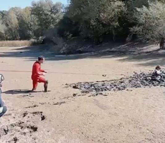 In letzter Minute gerettet: Frau steckt in Sumpf fest – Feuerwehr greift ein Rettung_Frau_Sumpf