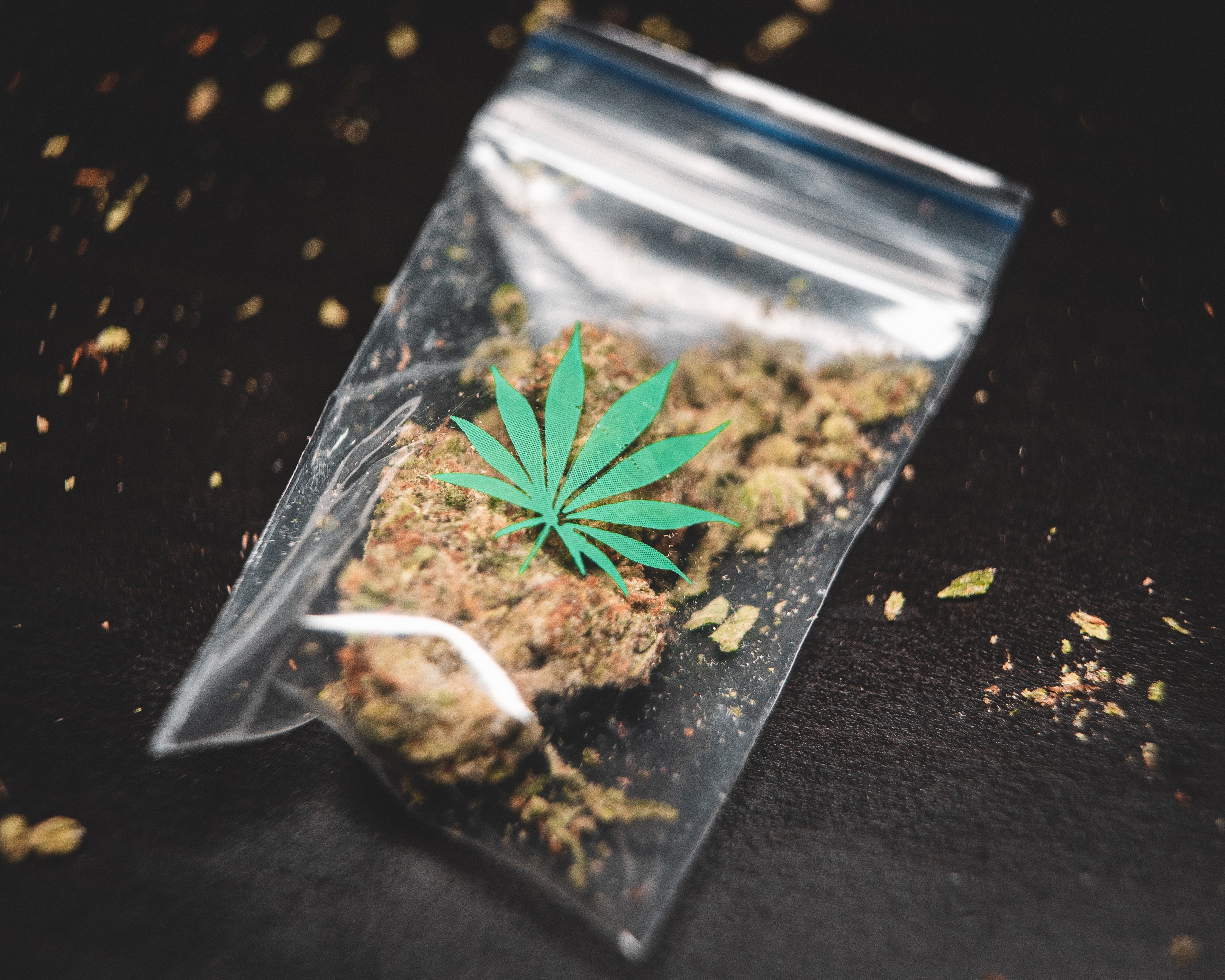 Drogenhandel: 2 T Cannabis mit Wiederverkaufswert von 10 Mill € in Toulouse beschlagnahmt