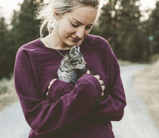 Impfstoff gegen Katzenallergie befindet sich derzeit in der Testphase Katze_Allergie