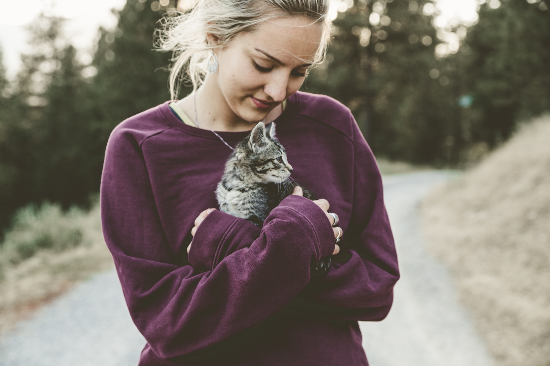 Impfstoff gegen Katzenallergie befindet sich derzeit in der Testphase