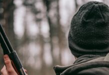 Meurthe-et-Moselle: 72-Jähriger stirbt bei tödlichem Jagdunfall – ein Mann in Polizeigewahrsam Jagd