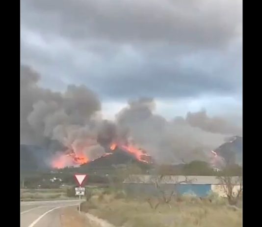 Waldbrand führt zur Evakuierung von über 800 Menschen in Spanien Brand_bei_Valencia_ScreenX