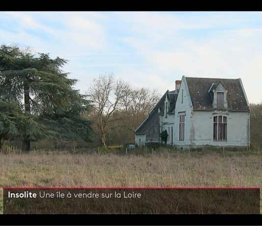 Loire: Insel wird für 700.000 Euro zum Verkauf angeboten Loir-Insel_zu_verkaufenScreenF2