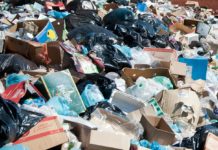 Departement Landes: Zwei in Formaldehydgläsern aufbewahrte Föten auf Mülldeponie entdeckt Müllhalde_Illustration