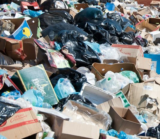 Departement Landes: Zwei in Formaldehydgläsern aufbewahrte Föten auf Mülldeponie entdeckt Müllhalde_Illustration