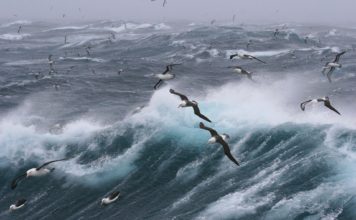 Tempête Nils: Frankreich im Griff extremer Böen und hunderttausender Stromausfälle Sturm_Wellen