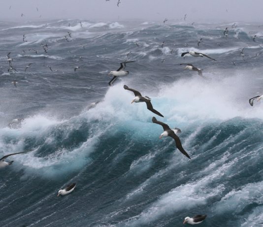 Sturmfront im Anmarsch – Frankreich erwartet am Donnerstag orkanartige Böen und sintflutartige Regenfälle Sturm_Wellen