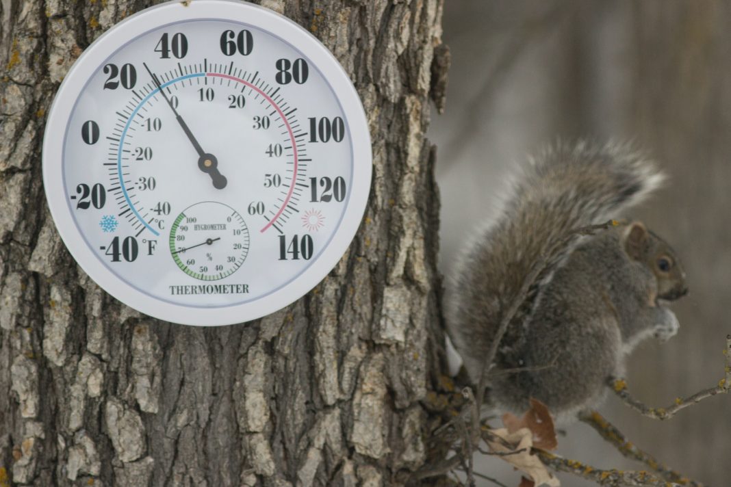 Thermometer_Umwelt