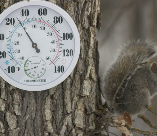 2023 wird laut Météo-France nach 2022 das zweitwärmste je gemessene Jahr in Frankreich sein Thermometer_Umwelt