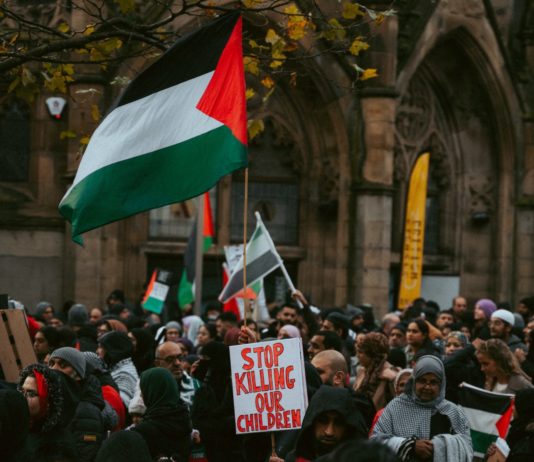 „Waffenstillstand ist zwingend erforderlich“: Pro-palästinensische Demonstration in Paris Demonstration_Propalaestina