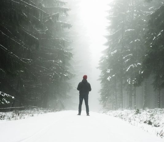 Wetter: Der erste Schnee fällt über den Vogesen Schnee_Illustration