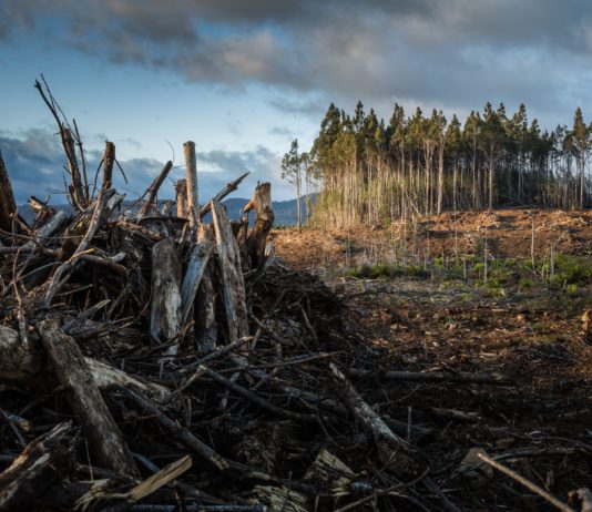 Klima: Erde auf dem Weg zu einer Erwärmung von 2,5 bis 2,9°C – das Pariser Abkommen bereits überholt? Klimawandel_Illustration
