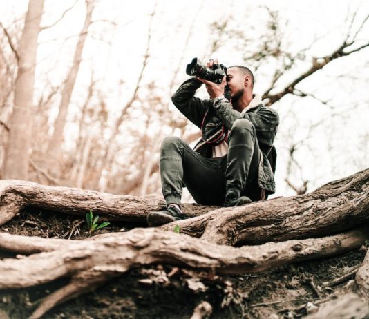 „Ich habe noch nie etwas Vergleichbares gesehen“: Ein seltsames Wildschwein in Südfrankreich gesichtet Illustration_Naturfotograf