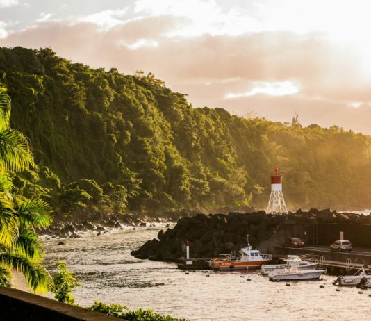 Biodiversität: Im französischen Departement La Réunion sind mehr als 40% der Pflanzen vom Aussterben bedroht La_Reunion