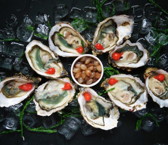 Weihnachtsfeier: 40 Personen leiden nach dem Verzehr von Austern unter einer Lebensmittelvergiftung Austern