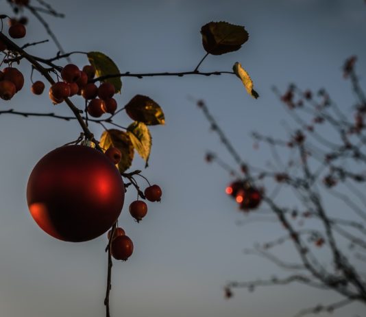 Wetter: Werden die milden Temperaturen bis Weihnachten anhalten? Wetter_Weihnachten