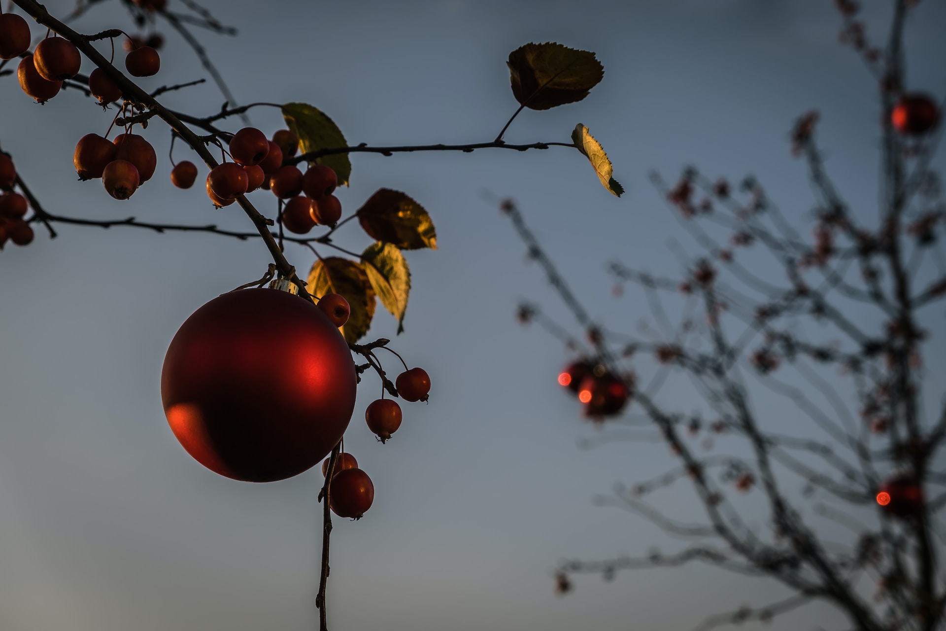 Wetter: Werden die milden Temperaturen bis Weihnachten anhalten?