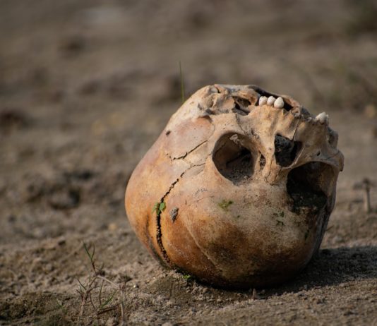 Journalisten entdecken menschlichen Schädel auf einem Strand in der Bretagne Schädel_Totenkopf