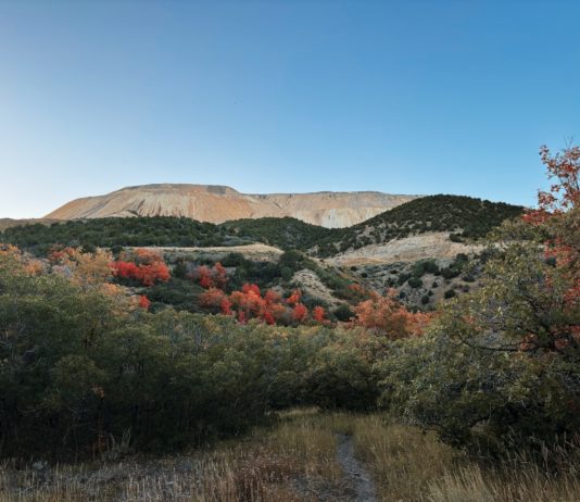 Gaza: „Beispiellose Gewalt“ – französische Außenministerin Catherine Colonna kritisiert Israel West_Jordan_Land