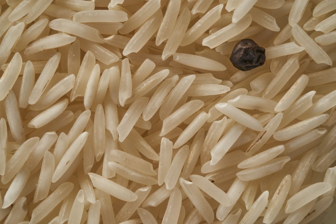 Reis_Fremdkörper