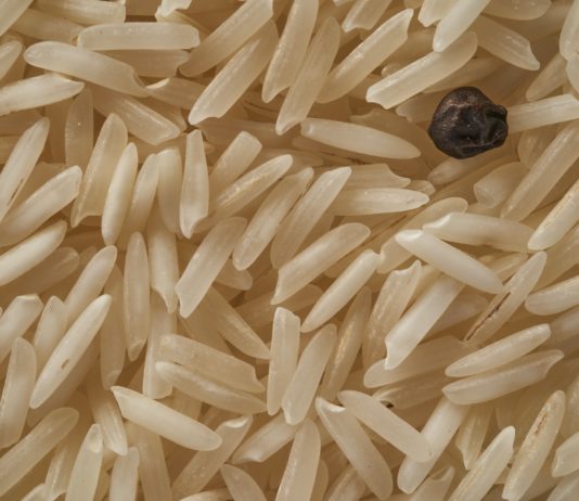 Wegen Larvenbefalls werden in ganz Frankreich Beutel mit Basmatireis zurückgerufen Reis_Fremdkörper