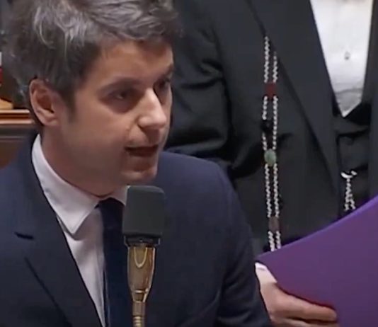 Gabriel Attal: Wer ist „Volta“ – neuer Begleiter im Leben des französischen Premierministers? Attal_Parlament_ScreenX