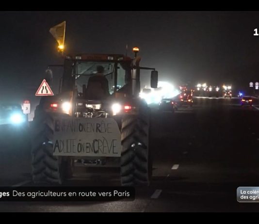 Protest der Landwirte: Hunderte Traktoren rollen auf die französische Hauptstadt Paris zu Bauern_rollen_nach_Paris_ScreenF2