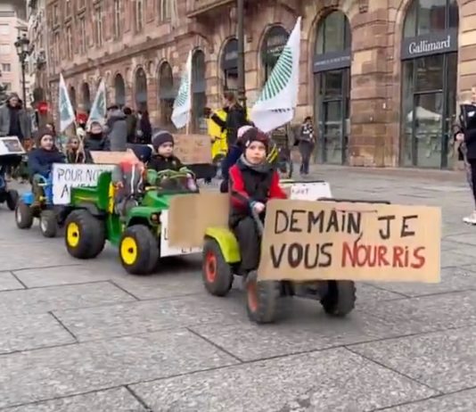 Bauernkinder: „Morgen ernähre ich euch“ – in Straßburg zogen sie auf Mini-Traktoren durch die Straßen Bauernkinder_Demonstration_Strassburg_ScreenX