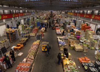 Rungis im Dezemberrausch: Wie Frankreichs größter Markt im Weihnachtsfieber brummt Grossmarkt_Rungis