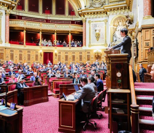 Frankreich: Gabriel Attal will bis Ende des Jahres Gesetz für eine größere Dezentralisierung vorlegen Attal_Senat_ScreenX