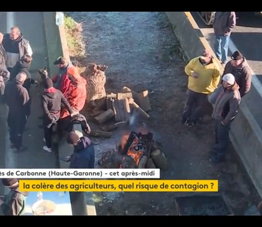 Zorn der französischen Landwirte: Droht eine Ausweitung der Protestbewegung? Protest_Landwirte_ScreenFI