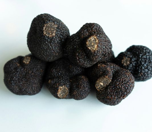 Trüffel: Schwarzes Gold aus der Provence Schwarzer_Trueffel