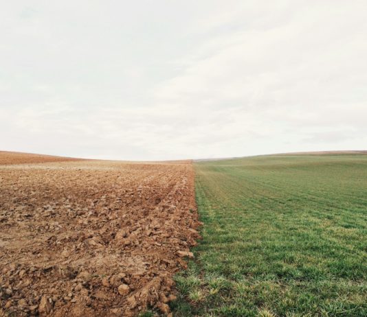Dürre in den östlichen Pyrenäen: Das hat man in der Geschichte Frankreichs noch nie gesehen Wassermangel_Dürre