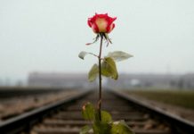 Editorial zum Tag des Gedenkens an die Opfer des Nationalsozialismus: Erinnerung, Lehren, Verpflichtung Auschwitz-Birkenau