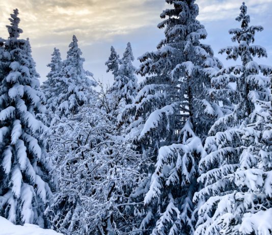 Hochsavoyen: Viel Schnee in Annecy Schnee_Winter