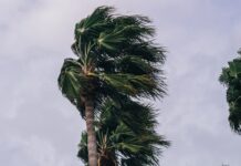 Hurrikan Melissa: Wenn ein Sturm zur Zerreißprobe wird Hurrikan_Zyklon