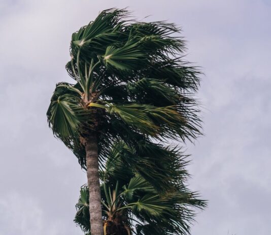 Hurrikan Melissa: Wenn ein Sturm zur Zerreißprobe wird Hurrikan_Zyklon