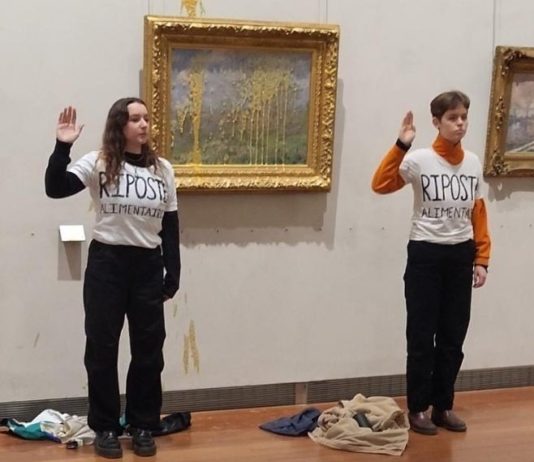 Aktivisten bewerfen Monet-Gemälde im Museum von Lyon mit Suppe Monet_Lyon_Suppe