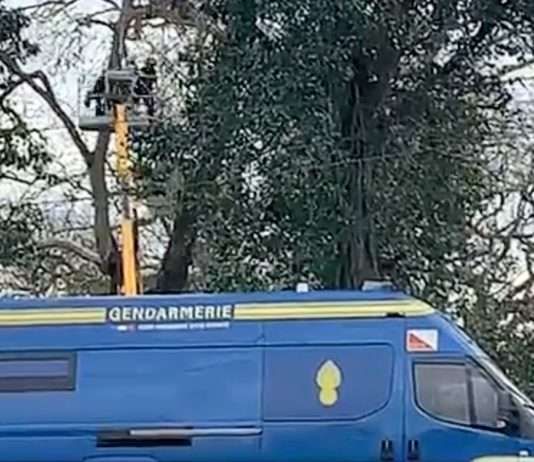Proteste gegen Autobahn A69: UN-Berichterstatter prüft Vorgehen der französischen Polizei Protest_A69_ScreenX