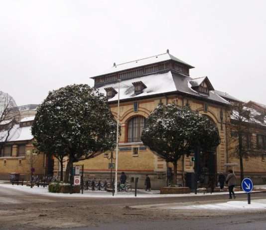 Kulturerbe: Die hundertjährige Markthalle von Rennes kommt nicht aus der Mode Rennes_-_Halles_centrales_130117-01