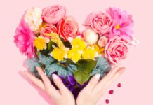 Valentinstag: Wie wählt man die passendsten Blumen aus? Blumen_Valentinstag