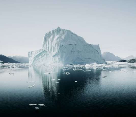 Bedrohungen für die Arktis: Warum die „Klimaanlage“ der Erde dringend gerettet werden muss Arktis