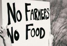 Bas-Rhin: Bauernprotest gegen doppelte Standards bei Pflanzenschutzmitteln Bauernproteste